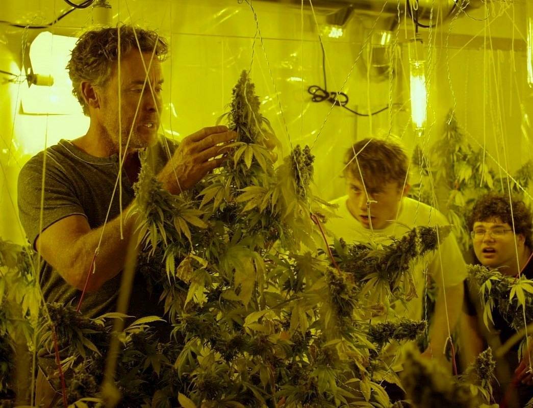смотреть фильм выращивание марихуаны