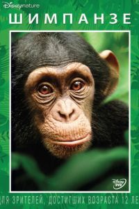 Смотреть Шимпанзе (2012) онлайн бесплатно