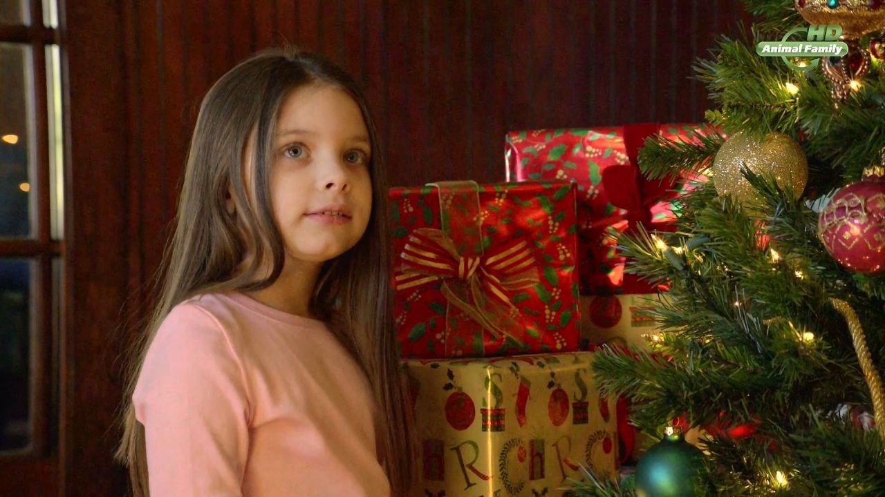 Приключения Бэйли: Рождественский герой (2012) смотреть онлайн бесплатно.