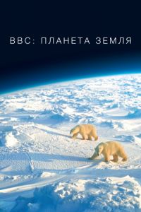 Смотреть BBC: Планета Земля 1 сезон онлайн бесплатно