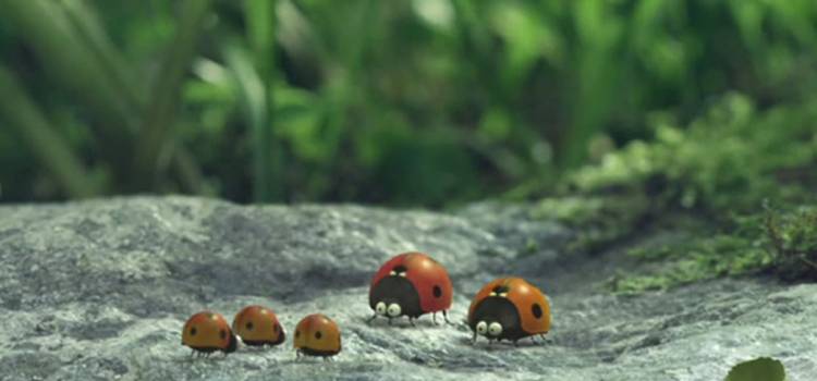 Букашки. Приключение в Долине муравьев (2013) смотреть онлайн бесплатно.