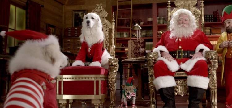 Рождественская пятерка (2009) смотреть онлайн бесплатно.
