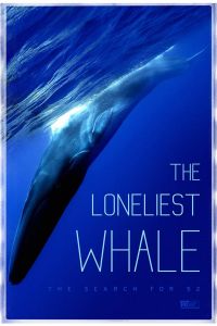 Смотреть Самый одинокий кит на планете: в поисках Пятидесятидвухгерцового кита (2021) онлайн бесплатно