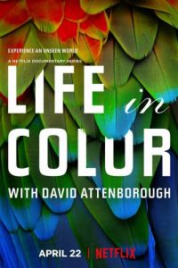 Смотреть Жизнь в цвете с Дэвидом Аттенборо 1 сезон онлайн бесплатно